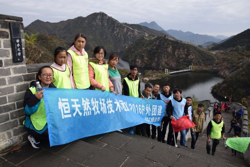 缔金团助力恒天然牧场技术团队团建之旅