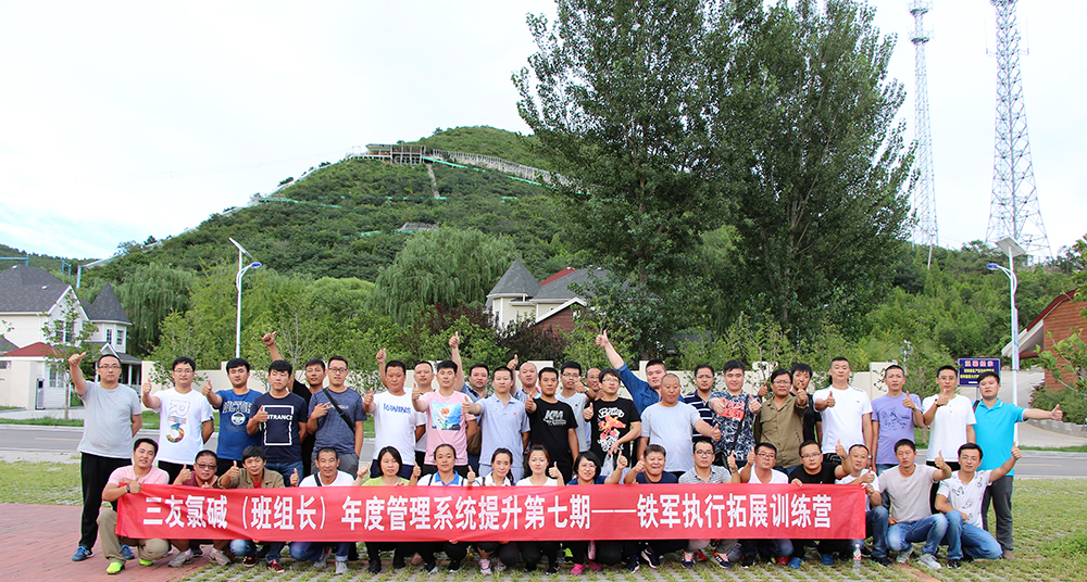三友氯碱年度管理系统提升第七期